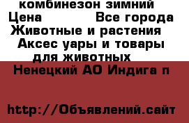 комбинезон зимний › Цена ­ 1 300 - Все города Животные и растения » Аксесcуары и товары для животных   . Ненецкий АО,Индига п.